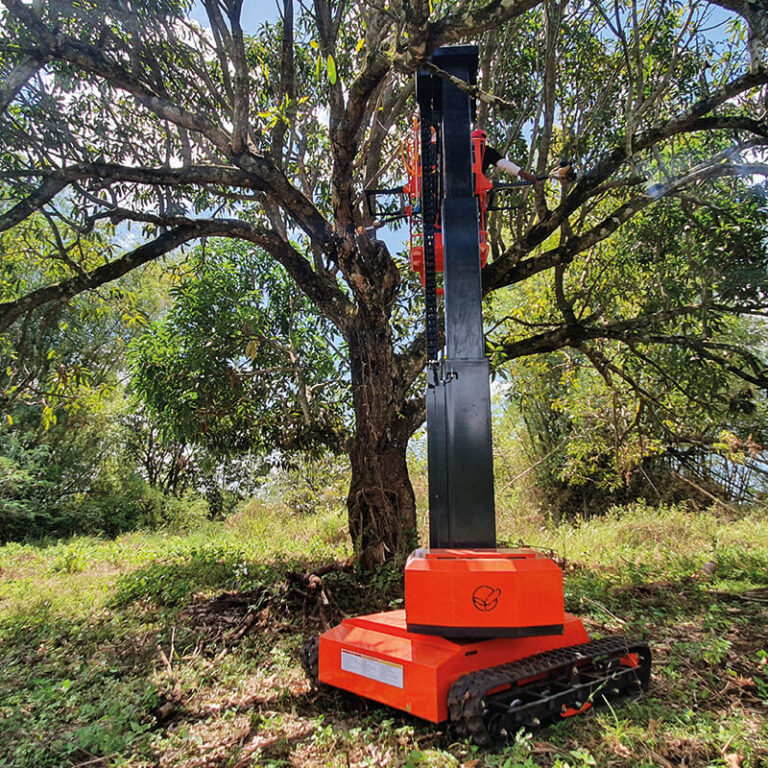 MULTI PURPOSE LIFTING MACHINE SB1000 FitCorea Trading Phils. Inc